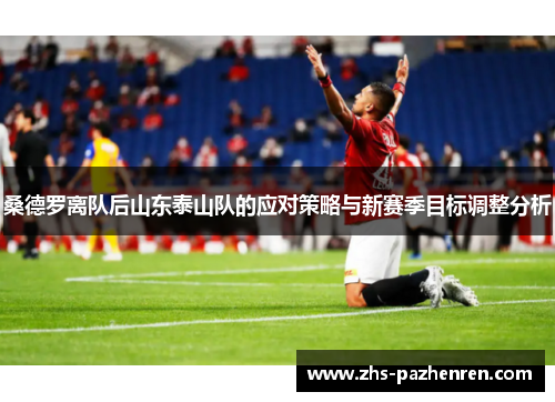 桑德罗离队后山东泰山队的应对策略与新赛季目标调整分析