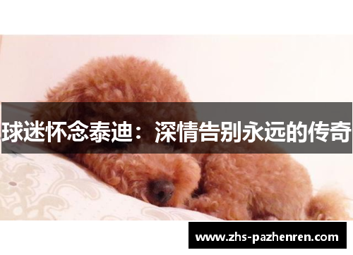 球迷怀念泰迪:深情告别永远的传奇